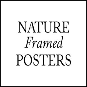 Nature Framed Posters